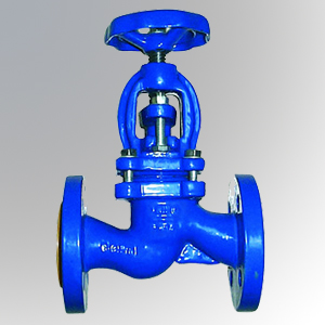 Globe Valve
